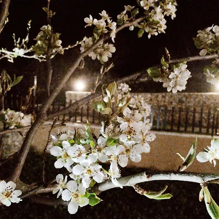 Kuca Za Odmor Bela Goranci