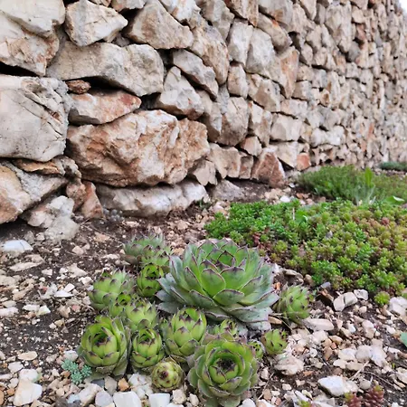 Dom wakacyjny Kuca Za Odmor Bela Goranci